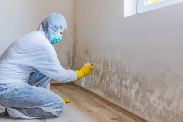 Best Residential Mold Removal  in Zanesville, OH