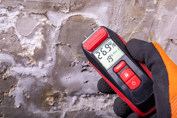 Best Local Mold Removal Service  in Zanesville, OH