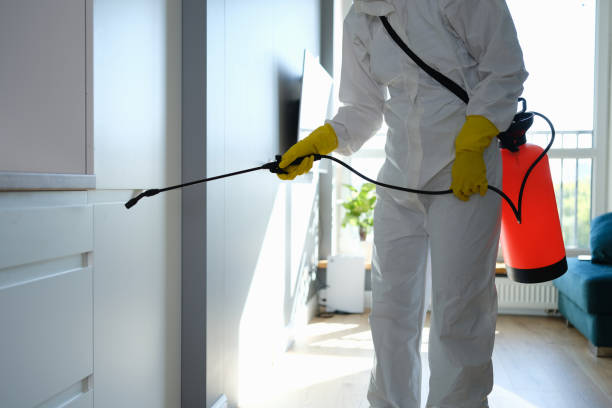 Best Professional Mold Removal  in Zanesville, OH