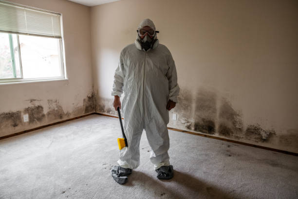 Water Damage Restoration in Zanesville, OH